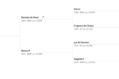Batshua vd Katten Eeck: Bamako de Muze x Lys de Darmen