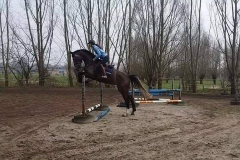 El_Tarra_springen