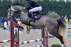 El_tarra_SBB_Hulsterlo_5Y_3