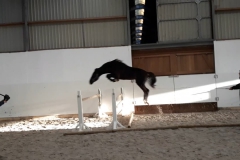 Elaba freejump 10/01/2020