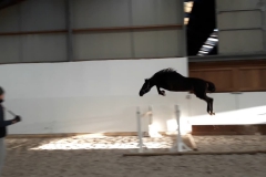 Elaba freejump 10/01/2020