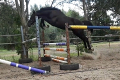 Elaba freejump 2020