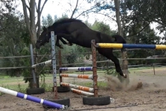Elaba freejump 2020